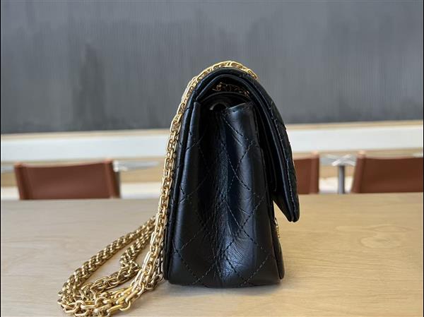 2026131214247781 850